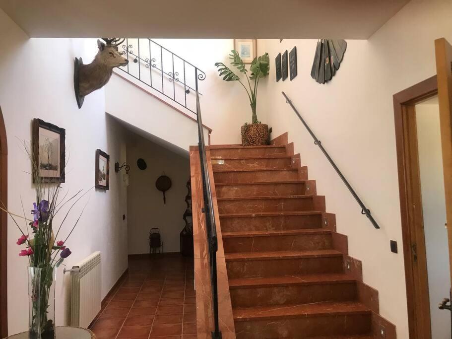 Villa Miramar Sant Llorenc Des Cardassar Exterior foto